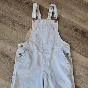 Universal Thread Blue Striped Women's Jeans Overalls